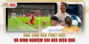 Các Loại Kèo Phạt Góc Và Kinh Nghiệm Soi Kèo Hiệu Quả