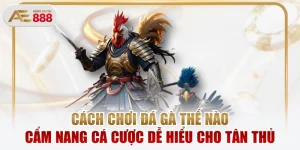 Cách Chơi Đá Gà Thế Nào Cẩm Nang Cá Cược Dễ Hiểu Cho Tân Thủ