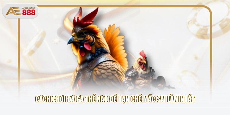 Cách chơi đá gà thế nào để hạn chế mắc sai lầm nhất