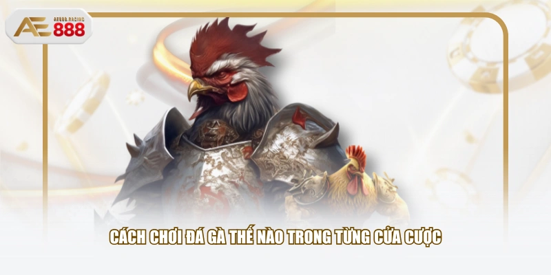 Cách chơi đá gà thế nào trong từng cửa cược
