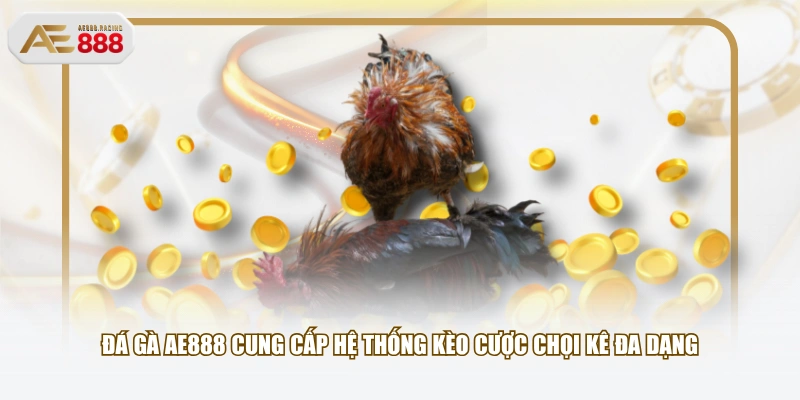 Đá Gà AE888 cung cấp hệ thống kèo cược chọi kê đa dạng