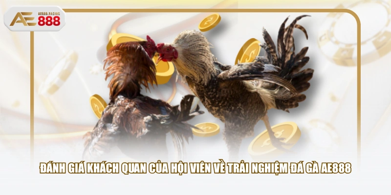 Đánh giá khách quan của hội viên về trải nghiệm Đá Gà AE888