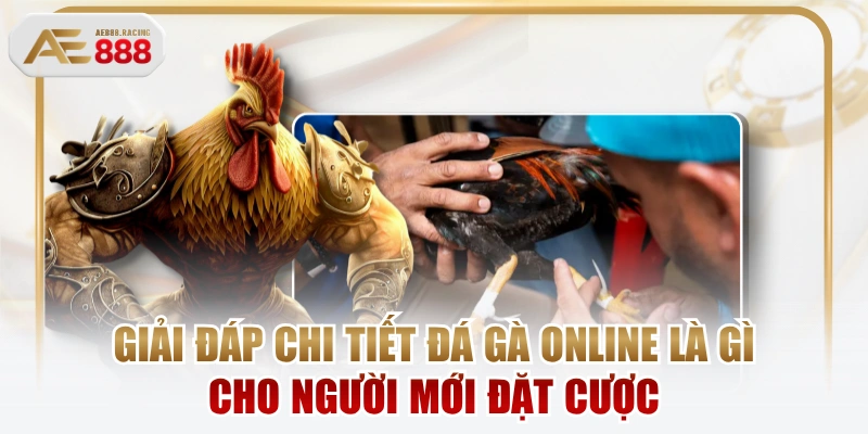 Giải Đáp Chi Tiết Đá Gà Online Là Gì Cho Người Mới Đặt Cược