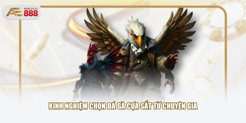 Kinh nghiệm chọn đá gà cựa sắt từ chuyên gia