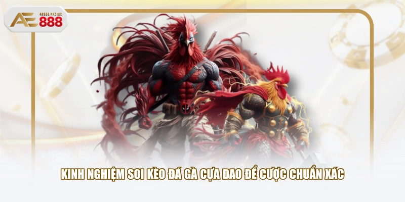 Kinh nghiệm soi kèo đá gà cựa dao để cược chuẩn xác