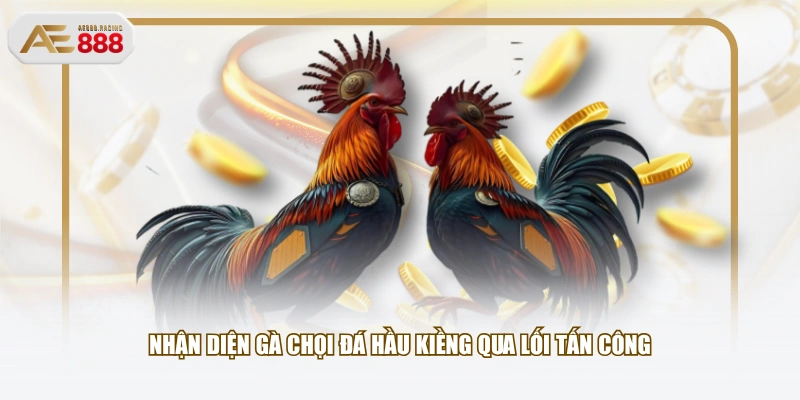 Nhận diện gà chọi đá hầu kiềng qua lối tấn công