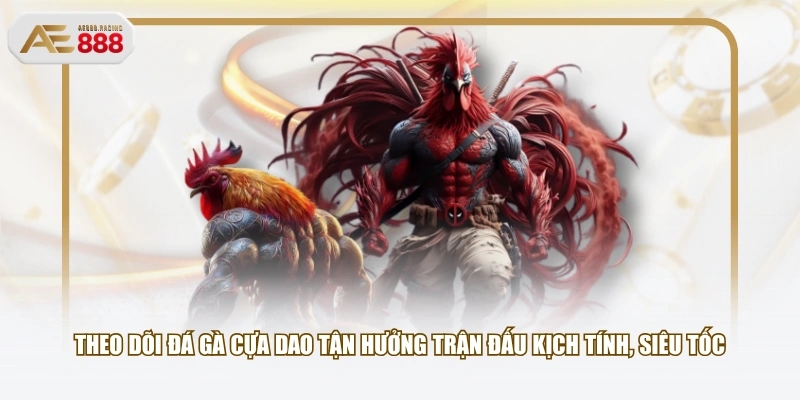 Theo dõi đá gà cựa dao tận hưởng trận đấu kịch tính, siêu tốc