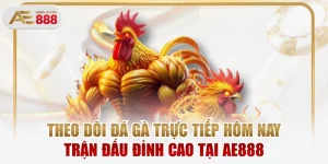 Theo Dõi Đá Gà Trực Tiếp Hôm Nay Trận Đấu Đỉnh Cao Tại AE888