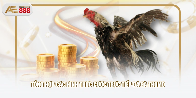 Tổng hợp các hình thức cược trực tiếp đá gà Thomo