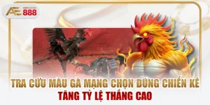 Tra Cứu Màu Gà Mạng Chọn Đúng Chiến Kê Tăng Tỷ Lệ Thắng Cao