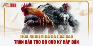 Trải Nghiệm Đá Gà Cựa Dao Trận Đấu Tốc Độ Cực Kỳ Hấp Dẫn