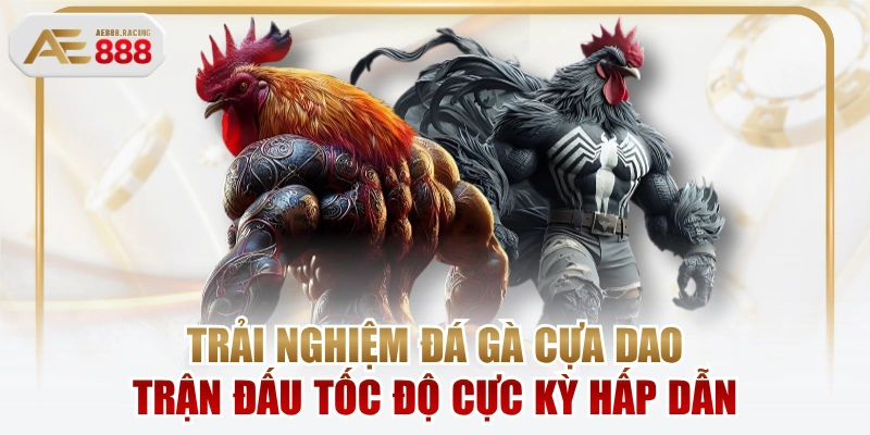 Trải Nghiệm Đá Gà Cựa Dao Trận Đấu Tốc Độ Cực Kỳ Hấp Dẫn