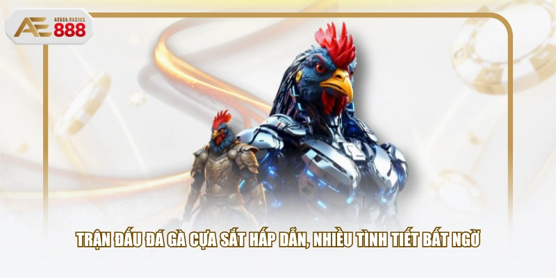 Trận đấu đá gà cựa sắt hấp dẫn, nhiều tình tiết bất ngờ