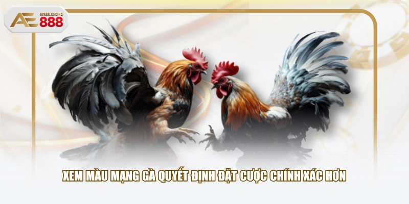Xem màu mạng gà quyết định đặt cược chính xác hơn